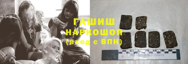 стафф Гусев
