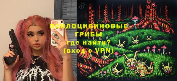бошки Гусь-Хрустальный