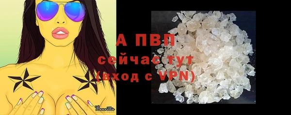 стафф Гусев