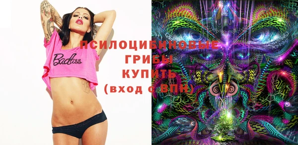 MDMA Гусиноозёрск