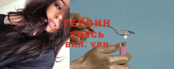 стафф Гусев
