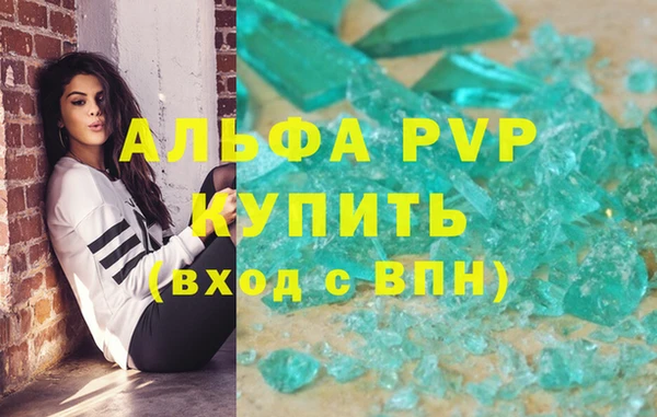 стафф Гусев