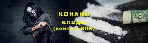 стафф Гусев