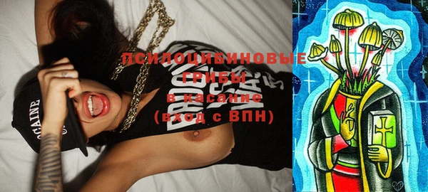 стафф Гусев