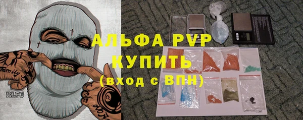 стафф Гусев