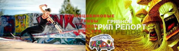 бошки Гусь-Хрустальный