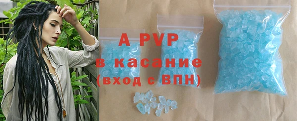 стафф Гусев