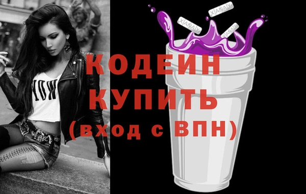 стафф Гусев